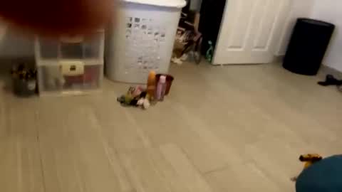 ro8183yguuk online show from October 21, 9:47 am