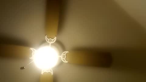 robertsaiz4200 online show from December 20, 8:49 pm