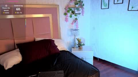 robin D online show from November 15, 11:45 am