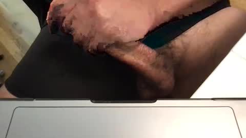 Rocco online show from April 28, 5:28 pm