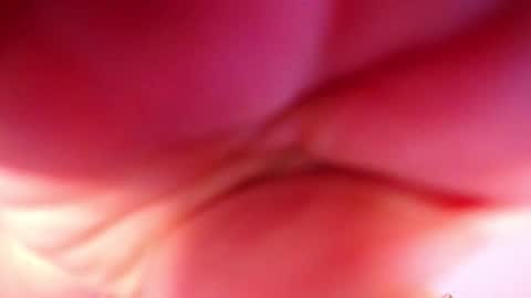 Snapshot of rohanalan_ chatting on October 20, 1:32 am Sof online show from October 20, 1:32 am