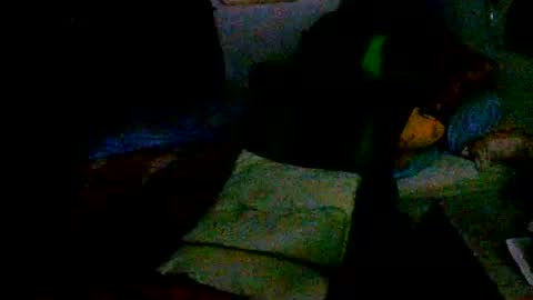roktero 90 online show from July 8, 10:13 pm