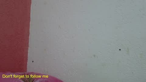 Snapshot of ronnispoto chatting on January 31, 10:10 pm ronny online show from January 31, 10:10 pm