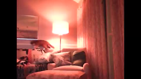 ronvlv online show from October 22, 4:04 am