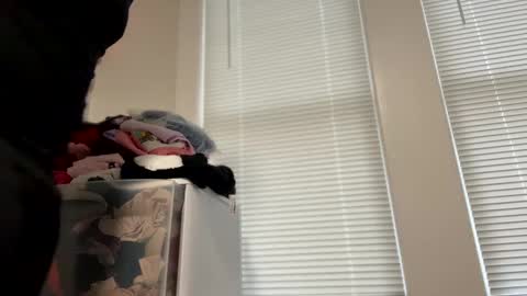 Royal SF online show from March 12, 7:36 pm