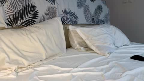 ryanstorm1 online show from February 7, 4:54 pm