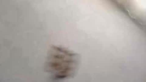 s2ici online show from February 27, 12:31 pm