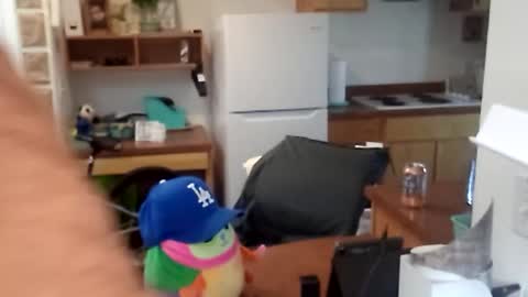 salis1981 online show from September 25, 8:49 pm