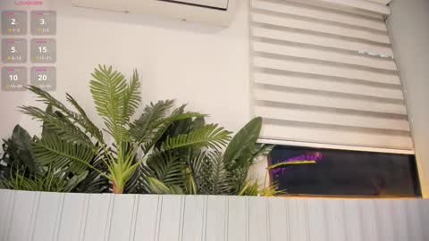 S A L L Y  online show from March 8, 11:58 am