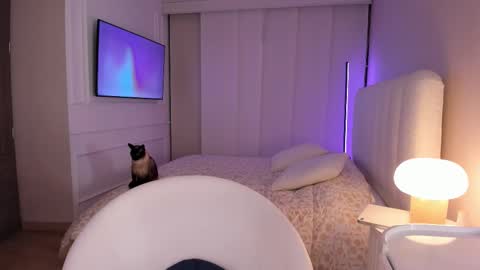 salo online show from November 1, 2:01 am