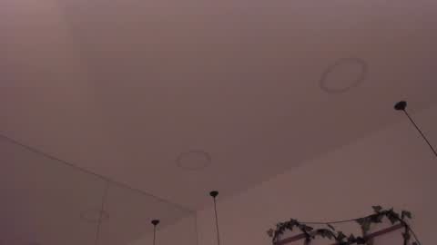 Stefana    or    Samchispas online show from December 5, 11:56 pm