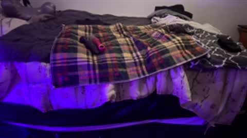 sammcmillan64 online show from January 8, 2:50 am