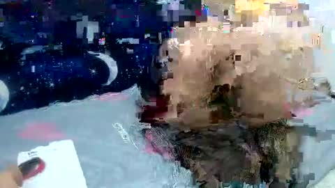 Sara love online show from February 2, 3:54 am