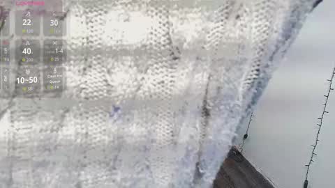 S A S H A R O S E online show from September 9, 12:38 pm