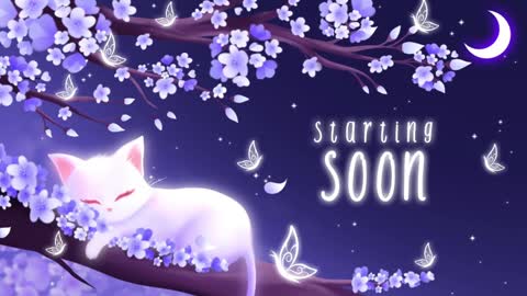 Snapshot of sassykittyn chatting on January 3, 6:11 am Sassy Sami Kittyn online show from January 3, 6:11 am