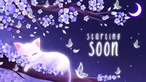 Sassy Sami Kittyn online show from December 2, 6:10 am