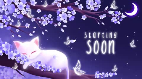 Snapshot of sassykittyn chatting on February 17, 5:47 am Sassy Sami Kittyn online show from February 17, 5:47 am