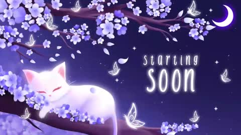 Snapshot of sassykittyn chatting on September 22, 5:33 am Sassy Sami Kittyn online show from September 22, 5:33 am