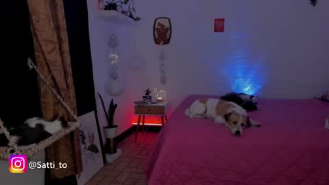 im Jessi  Independet Model  online show from February 26, 4:08 am