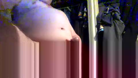 Snapshot of sattebs2 chatting on December 5, 11:23 am sattebs online show from December 5, 11:23 am