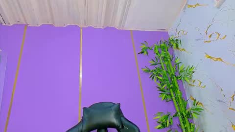 Denis online show from November 2, 11:05 pm