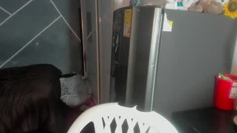 Sean Scoth online show from January 15, 8:05 pm