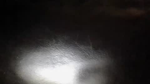 Sunny online show from October 12, 4:05 am