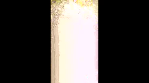 seethru9 online show from March 2, 1:18 pm