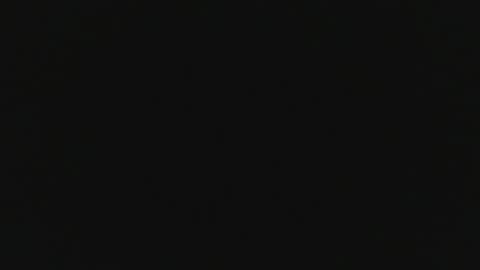 segebe online show from November 17, 11:46 am