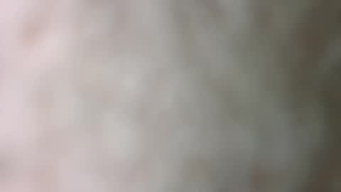 serani02 online show from January 16, 7:28 am