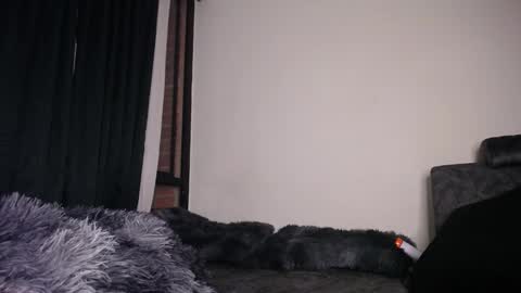 seth online show from September 20, 7:33 am