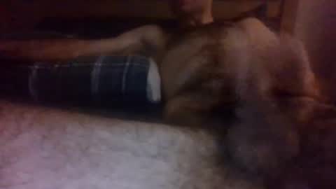 sex672005 online show from November 25, 9:35 pm