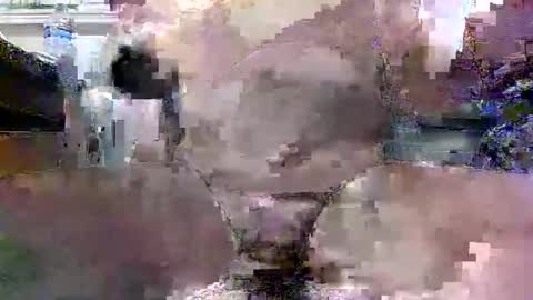 Daddy online show from December 3, 12:50 pm