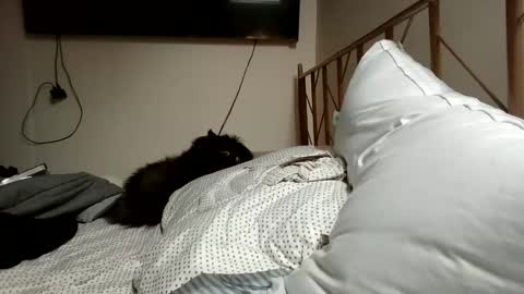 ETERNAL GODDESS WOMAN  online show from October 24, 3:02 pm