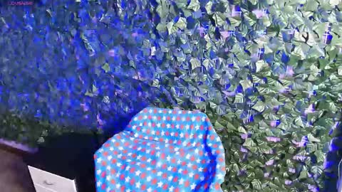 N A F online show from November 26, 9:22 pm