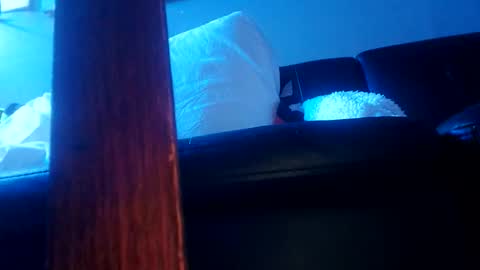 shagz2much online show from January 7, 10:41 pm