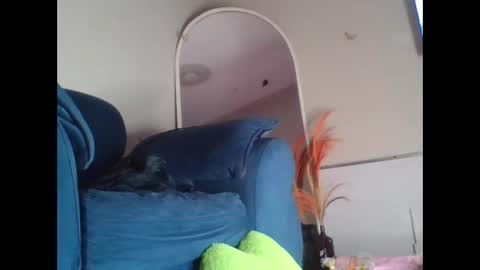 shana22222 online show from February 24, 10:24 pm