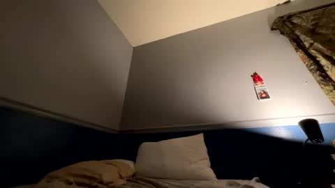 shankzilla online show from November 28, 1:46 am