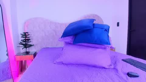 Shelsy online show from December 3, 12:17 pm