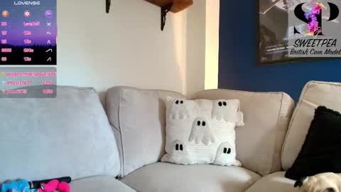 short sweetpea online show from March 26, 3:06 pm