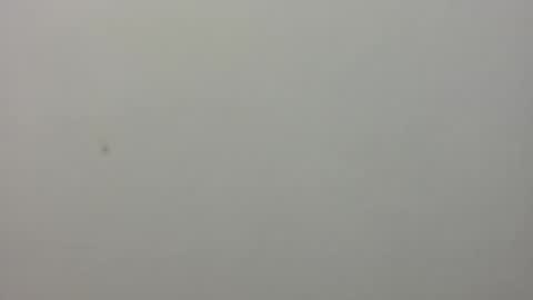 show_on_for_you online show from March 24, 9:10 pm