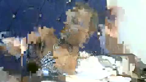 shugar7260 online show from November 18, 11:35 am