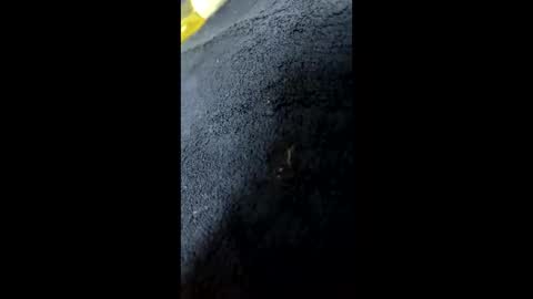 shurthingxx online show from January 28, 12:22 pm