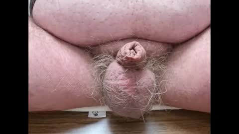 sidewinder1980 online show from January 15, 9:29 am