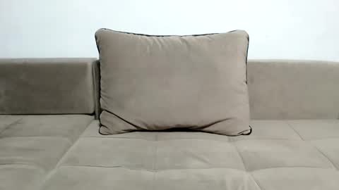 Sir online show from January 29, 4:08 pm