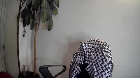 Snapshot of silviecollins chatting on January 7, 3:46 am Silvie online show from January 7, 3:46 am