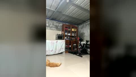 sinfullwife6969 online show from March 9, 11:48 am