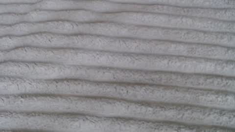 Lina online show from November 18, 9:12 am