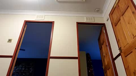 sissyslut6669 online show from January 23, 11:15 am