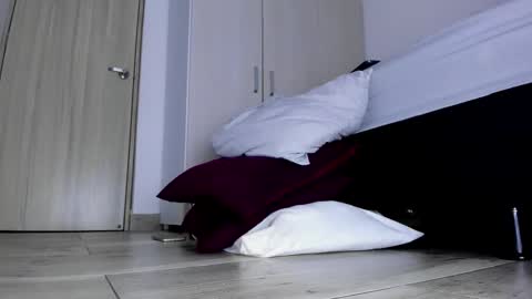 Skarlet online show from November 8, 4:37 am